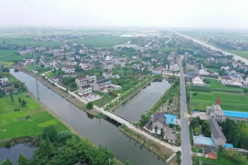 泰州泰興建設生態(tài)木樁護岸打造水清岸綠生態(tài)美景