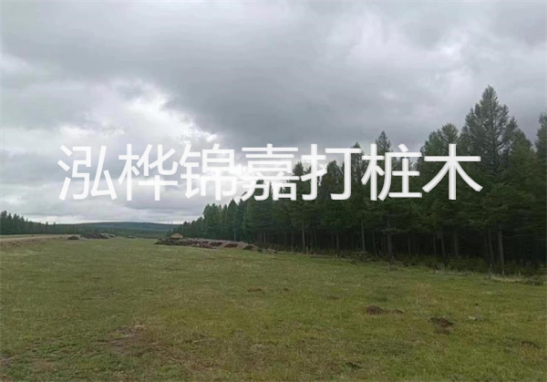 圣象地板怎么樣,圣象地板怎么樣知乎